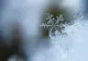 Val puternic de aer polar peste România. Temperaturile scad cu până la 15 grade, apar bruma și primele ninsori
