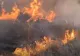 Incendiu devastator la Giurgiu. 120 de hectare au fost afectate de flăcări