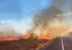 Incendiu de vegetație la Drobeta-Turnu Severin. Centura orașului a fost blocată, iar o localitate a rămas fără internet