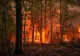 Incendiu de pădure în zona Mănăstirii Boia, din județul Vâlcea. Terenul accidentat îngreunează intervenția pompierilor