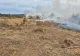 Incendii de pădure în Bihor și Vâlcea. Flăcările au afectat circa 25 de hectare