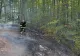 Incendiu la Băile Olănești, în apropiere de Schitul Iezer: aproximativ 13 hectare afectate