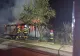 Incendiu de proporții în județul Mureș. Două anexe gospodărești au fost cuprinse de flăcări, iar 20 de păsări au murit