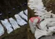 Tragedie în Nepal: sute de cadavre neidentificate, îngropate în gropi comune după inundațiile devastatoare