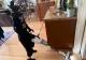 Roboții umanoizi care fură meseriile oamenilor. Servicii de curățenie la domiciliu