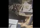Cinci noi saci cu oseminte, ridicați din Cimitirul Strehăreț din Slatina. Anchetatorii au extins săpăturile