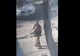 A fost alertă în Ploiești după descoperirea unui obiect suspect. Ce au transmis oamenii legii