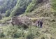 Tânăr ucrainean, găsit epuizat în Munții Maramureșului. Era de trei zile pe drum și rămăsese fără apă și hrană