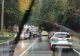 Accident pe Valea Prahovei. Două femei au fost rănite după ce o mașină a intrat pe contrasens – FOTO