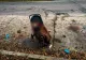 Atac rusesc asupra unui parc din Ucraina. Șase oameni au murit, între care trei copii, iar alte 15 persoane au fost rănite