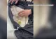 Româncă prinsă cu aproape un kilogram de aur ascuns în vestă