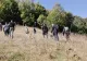 Ciobănașul de 19 ani, căutat fără încetare. Polițiști, jandarmi, pompieri, câini, drone și scafandri, mobilizați pentru a-l găsi pe Alin