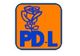 Priorităţile PD-L: salarizarea unică, interzicerea cumulului pensie-salariu şi revizuirea Constituţiei