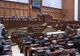 Circ în Parlamentul României - VEZI VIDEO