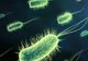 Au fost descoperite trei noi specii de bacterii la 40 de kilometri altitudine