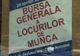 La bursa locurilor de muncă din Braşov s-au înscris doar 40 de firme 
