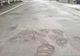 Drumurile din Hunedoara sunt pline de gropi