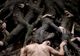 "Antichrist", în regia lui Lars von Trier, va avea premiera românească la TIFF