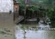 18 case din Teregova, judeţul Caraş-Severin, au fost inundate marţi după-amiază