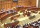 Sesiune extraordinară pe 27 iulie în Parlament, în cazul Ridzi