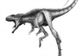 Strămoşul înfricoşătorului T-Rex era un dinozaur foarte mic. GALERIE FOTO