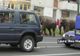 Elefanţii au ieşit la plimbare pe o stradă din Baia Mare