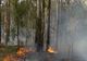 Incendiu în Australia, din cauza căldurii şi secetei 