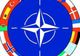 NATO trebuie să facă economiii în 2010