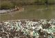 Mii de metri cubi de peturi, resturi menajere şi gunoi de grajd au ajuns în Dunăre