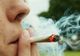  EFECTELE INCREDIBILE ale consumului de MARIJUANA asupra organismului tău