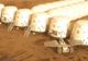 Proiectul Mars One e șubred și va fi un eșec, declaraţia incredibilă a unuia dintre finalişti