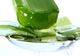Aloe Vera: 10 beneficii pentru sănătatea ta