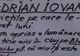 Mesajul unei clujence pentru ADRIAN IOVAN, după PRĂBUŞIREA AVIONULUI. Ce a scris pe BILET 