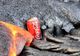 EXPERIMENT ULUITOR al unui fotograf. Ce se întâmplă când o cutie de Coca-Cola este atinsă de lavă?