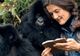 DIAN FOSSEY. IMAGINI ULUITOARE cu SINGURUL OM acceptat în LUMEA GORILELOR 