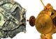 Descoperire submarină uluitoare. Cercetătorii au reuşit să descifreze misterul calculatorului antic 