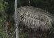 Descoperire uimitoare în jungla amazoniană: Oameni izolaţi de lumea exterioară
