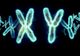 Vor dispărea bărbaţii? Ce spun oamenii de ştiinţă despre soarta cromozomului Y