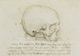 Misterul "craniului lui Leonardo da Vinci". Teoria care a stârnit controverse printre cercetători