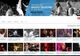 Music Vault oferă gratuit pe YouTube 12.000 de concerte