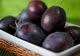 Prunele - miracol pentru sănătate. 6 rețete terapeutice pentru a trata zeci de boli!