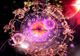 HOROSCOP complet vineri, 5 septembrie, şi de WEEKEND