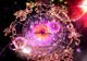 Horoscop complet vineri, 10 octombrie, şi pentru weekend