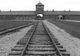 A scăpat de camerele de gazare de la Auschwitz