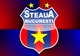 BOMBĂ! Iată cum se va numi echipa Steaua după ce Gigi Becali a pierdut sigla clubului, în instanţă
