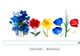 Prima zi a Primăverii 2015. Google marchează echinocțiul printr-un Doodle înflorat