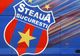 Este oficial: "Steaua București" a dispărut de la televizor!