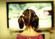 Aşa îi afectează de fapt statul la TV pe copii