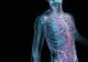 8 lucruri recent descoperite despre corpul uman
