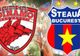 Dinamo - Steaua. Cum vor "câinii" să câştige titlul